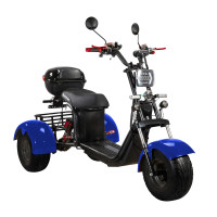 Электроскутер CityCoco SKYBOARD BR40-3000 OFF-ROAD Trike синий