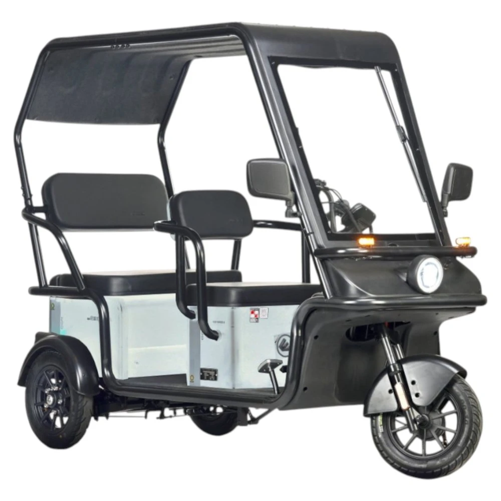 Электротрицикл Wanshida NIPLA 570 60V 1000Вт Зеленый