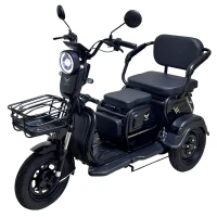 Электротрицикл YASMAND D12